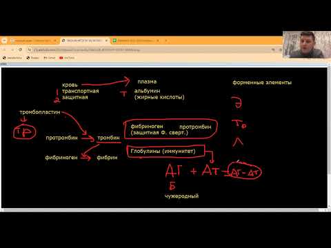 Видео: Кровь. Левел 1 для ЦТ. Тест в описании. Реши с конспектом.