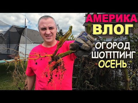 Видео: Пришла пора! Обещанное видео, шоппинг в 2х классных магазинах / Сколько стоит творчество в США Влог