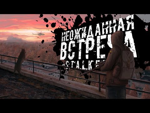 Видео: НЕОЖИДАННАЯ ВСТРЕЧА ● STALKER ONLINE RP ● СТРИМ DAYZ STALKER ERA RP