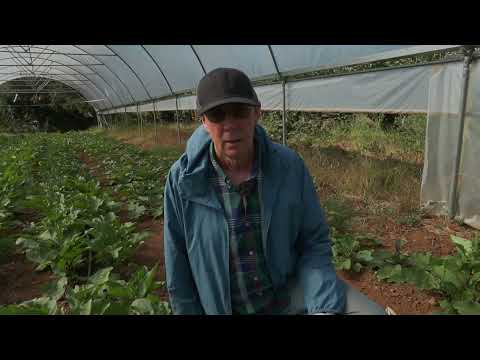 Видео: Обследование всей фермы – основные методы