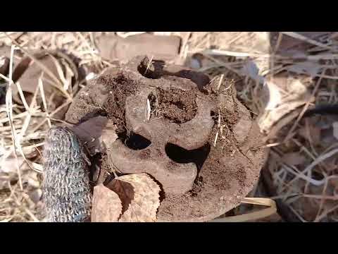 Видео: Quest x5 Сново в строю!!! Коп Металла на Урочище!!!