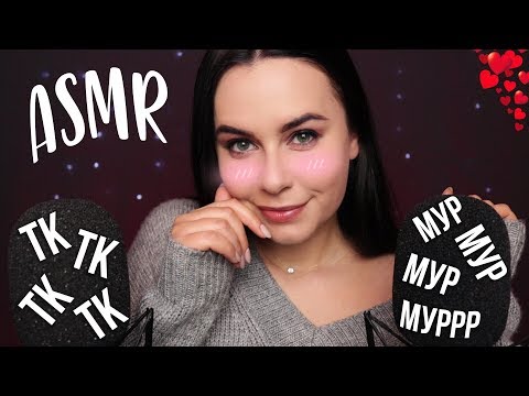 Видео: АСМР | Твои ЛЮБИМЫЕ звуки 😍 ТК ТК СК СК Мур Мур 🐱 Для расслабления ASMR | Sounds for sleep 😍