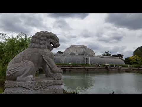 Видео: Королевский Ботанический Сад Лондона-Royal Botanic Gardens(Kew)🥰😍