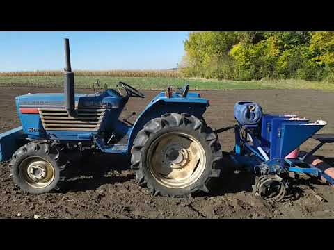 Видео: ПОСАДКА ЧЕСНОКА в разгаре! Некоторые нюансы этого сезона.