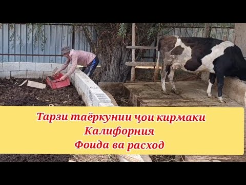 Видео: Фуруши Кирмак ва Биогумус очёти як сола фоида расход