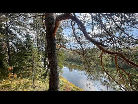 Видео: Поход в М-зону | сентябрь