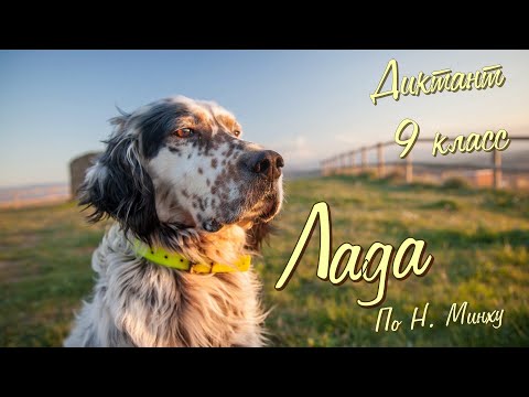 Видео: Диктант по русскому языку с проверкой! 9 класс. Лада #диктант9класс #диктант