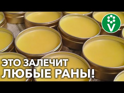 Видео: САДОВЫЙ ВАР ГОТОВИМ САМИ! Старинный РЕЦЕПТ натуральной лечебной смеси для деревьев!