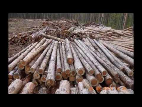 Видео: Шиес-Мадмас экскаватор, последствия.2.08.2019