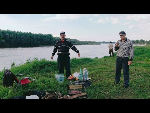 Видео: Открытие Рыбалки на Оке 2023
