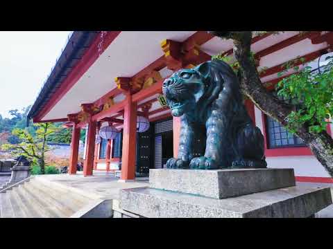 Видео: Містична гора Курама, місце духів. 