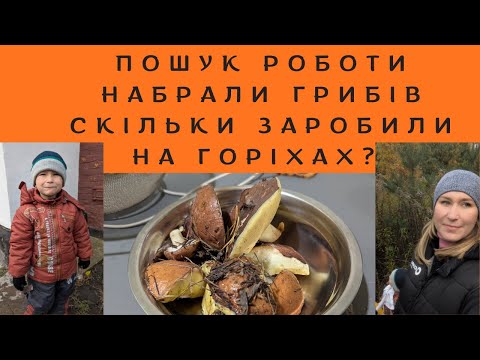 Видео: Пошук роботи у селі. Ходили по гриби. Тижневий влог
