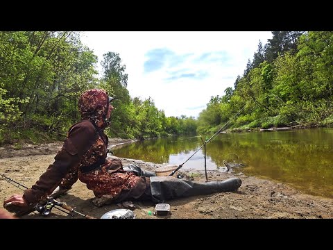 Видео: РЫБА КЛЮЁТ И ДУША ПОЁТ! ДИКИЕ МЕСТА! Рыбалка на донку(фидер) 2023.