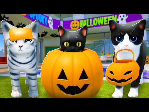 Видео: НОВЫЙ КИСИК В ТЫКВЕ! Roblox Kitten Game