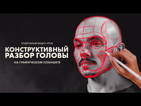 Видео: КОНСТРУКТИВНЫЙ РАЗБОР ГОЛОВЫ ЧЕЛОВЕКА | Онлайн-школа Akademika