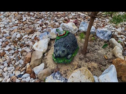 Видео: ЁЖИК из ЦЕМЕНТА. Поделки ДЛЯ САДА. HADGEHOG. GARDEN CEMENT CRAFT. DIY.