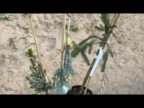 Видео: Распаковка 3й и 4й посылки из магазина Опт-Хоз