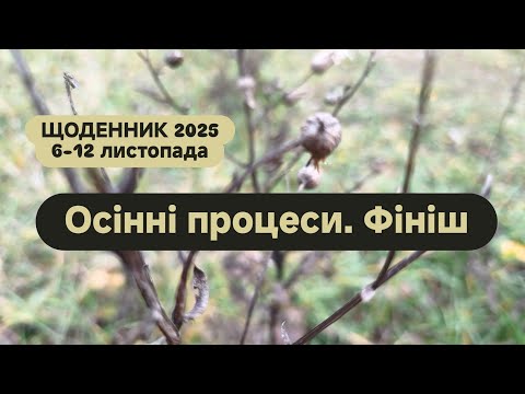 Видео: Ключик, чорнобривці і пів сала🤭