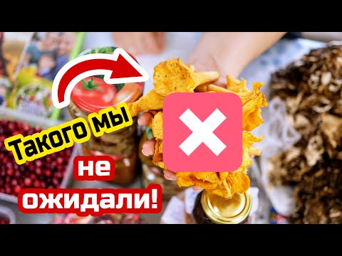 Видео: Такого мы ещё не получали! Это не посылка, это целый баул!!!