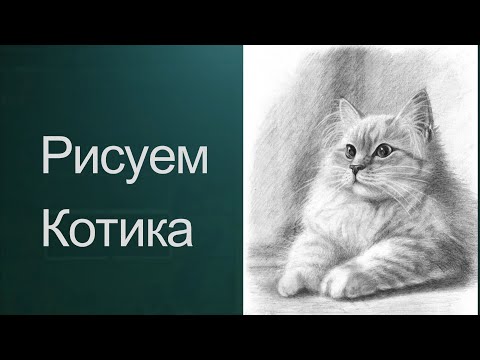 Видео: Как рисовать кота. Получите 50 уроков в описании ролика.