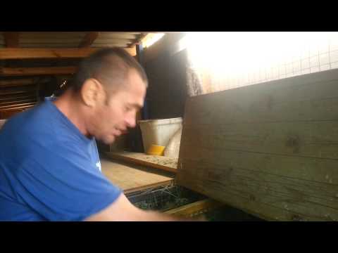 Видео: БОЛЬШОЙ ПЕРЕРАСХОД СЕНА? ВАМ СЮДА!!!