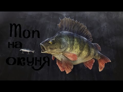 Видео: ТОП ВОБЛЕРОВ ДЛЯ ЛОВЛИ ОКУНЯ