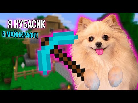 Видео: НАЧИНАЮ СНОВА ИГРАТЬ В МАЙНКРАФТ ! ИДУ В ПЕЩЕРУ ! СТРОЮ ДОМ !  MINECRAFT