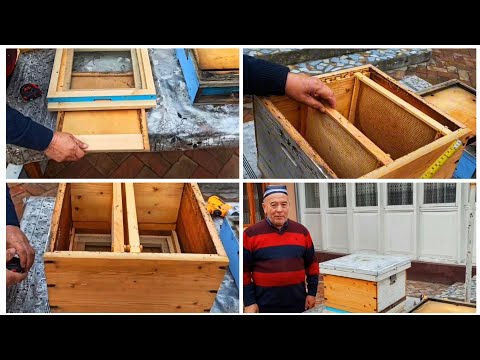 Видео: Кичик улчамли индивидуал асалари уяси