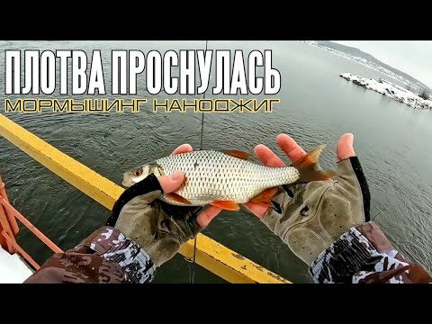 Видео: Плотва проснулась и загибает спиннинг. МОРМЫШИНГ НАНОДЖИГ