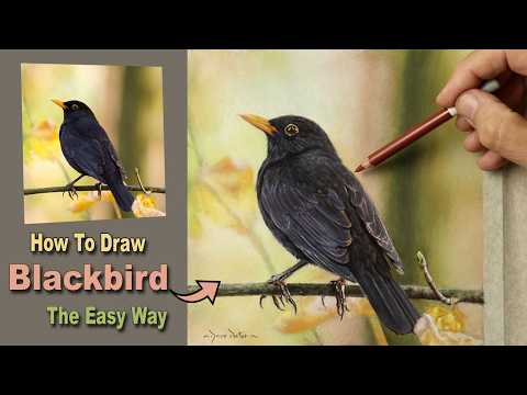 Видео: Урок рисования пастельным карандашом | Как смешать чёрный цвет и нарисовать реалистичного чёрного...