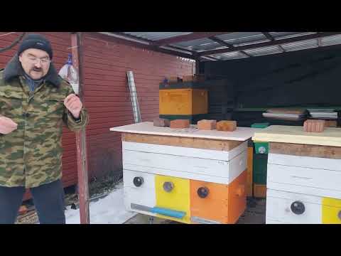 Видео: ☀️☀️☀️ Зимовка пчел при такой погоде требует действий ☀️☀️☀️