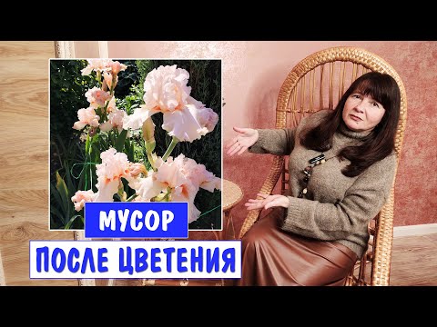 Видео: ВРЕМЕННО КРАСИВЫ. А потом лишь ПОРТЯТ САД. Не сажайте много этих растений!