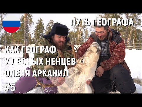 Видео: #5 КАК ГЕОГРАФ У ЛЕСНЫХ НЕНЦЕВ ОЛЕНЯ АРКАНИЛ.ЮГРА