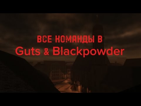 Видео: ВСЕ КОМАНДЫ В Guts & Blackpowder