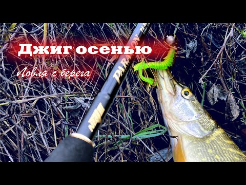 Видео: ДЖИГ ОСЕНЬЮ. Ловля щуки спиннингом Hearty Rise Paragon 802LL с берега