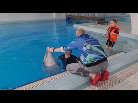 Видео: ДЕЛЬФИНОТЕРАПИЯ.ОБЗОР плавания с дельфинами в Новосибирском дельфинарии.