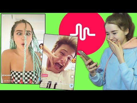 Видео: РЕАКЦИЯ НА MUSICAL.LY БЛОГЕРОВ/ ЯнГо, Марьяна Ро, Face, Елена Шейдлина, Никита Морозов.
