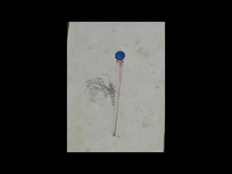 Видео: Две минуты красоты из Флоренции.