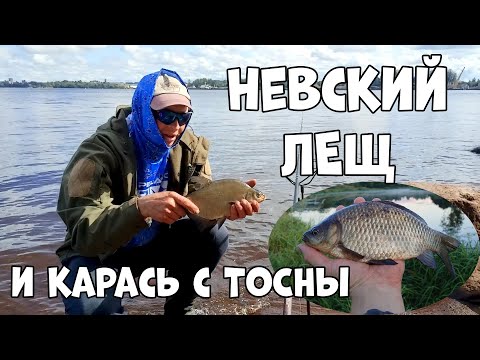 Видео: ТОП рыбалка на Неве ночью на фидер август 2025