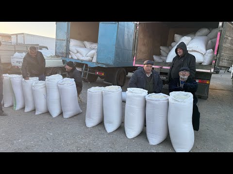 Видео: ХОРАЗМ ХАЗАРАСП ОПТОМ ГУРУЧ ЯНГИ НАРХЛАРИ 1 ноября 2025 г.