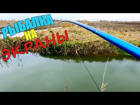 Видео: ВОТ ЭТО ДОБЫЧА!!! Рыбалка на экраны...и не только.