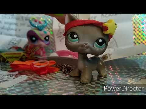 Видео: Распаковка лпс с обменя ♥♥♥