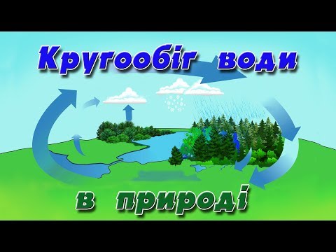 Видео: Кругообіг води в природі