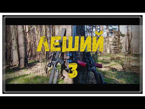 Видео: EDgun Leshi 2 развлекательная стрельба 50м.