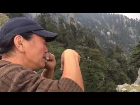 Видео: Хомус Кулана на вершине Гималаев.