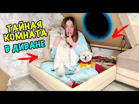 Видео: Мы построили СЕКРЕТНУЮ КОМНАТУ для котов В ДИВАНЕ! 24 ЧАСА ВТАЙНЕ от ЗВЕРОПАПЫ