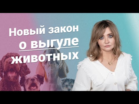 Видео: Новый закон о выгуле животных