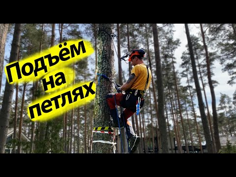 Видео: Как подняться на петлях