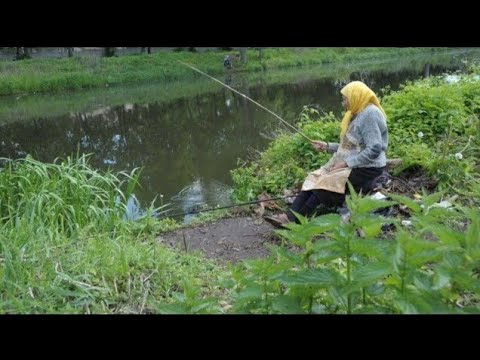 Видео: ПРИКОЛЫ ПРО РЫБАЛКУ 2025 - Самое смешное, ржака на рыбалке, до слез #13