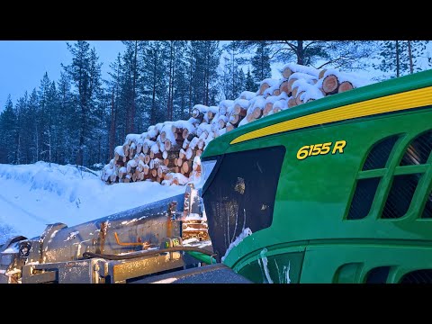 Видео: Расчистка дороги для лесовозов